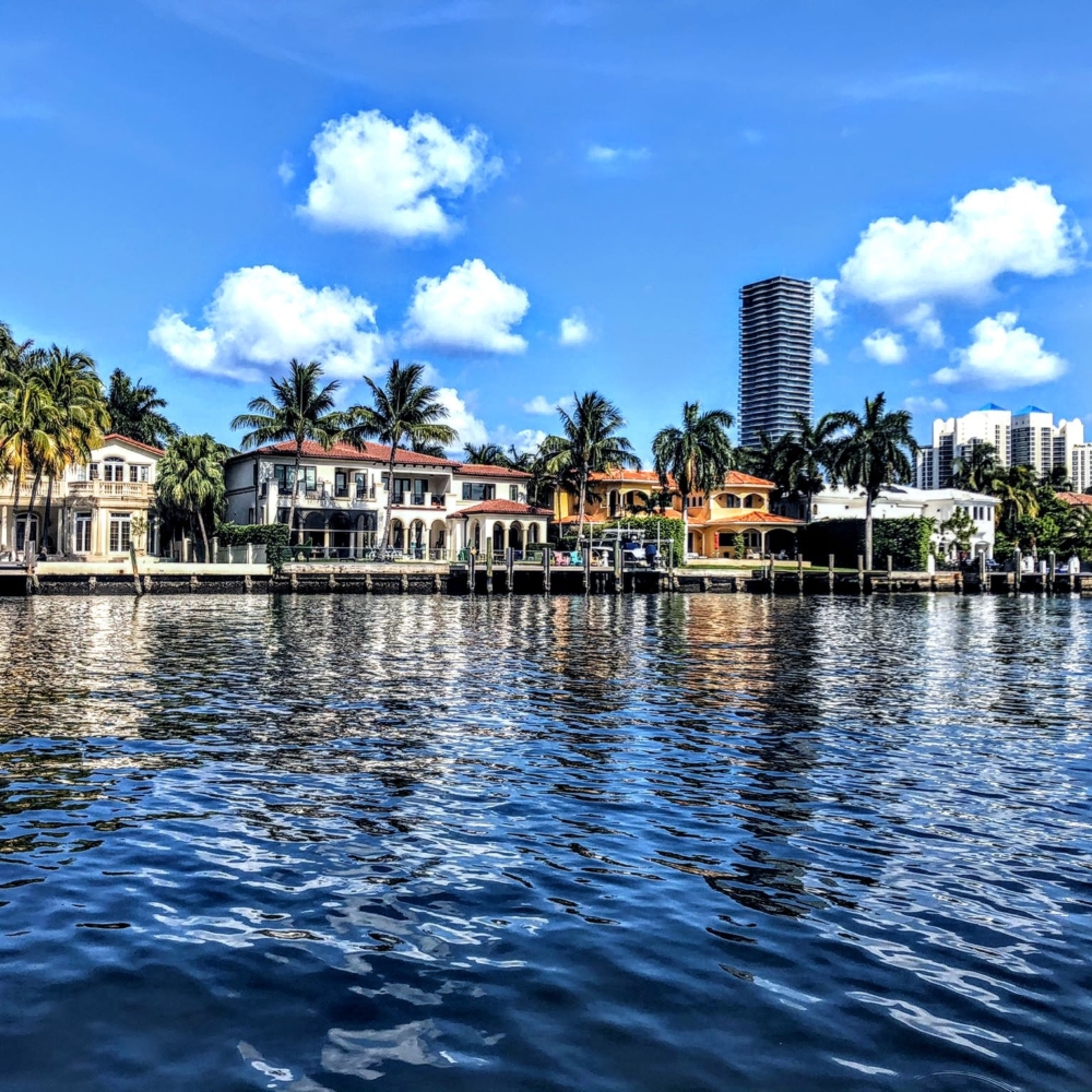 baymingo intercostal hollywood dania fort lauderdale
