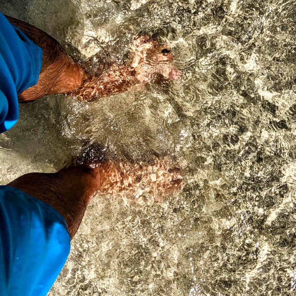 haulover sandbar baymingo boat rental miami fortlauderdale hollywood 1