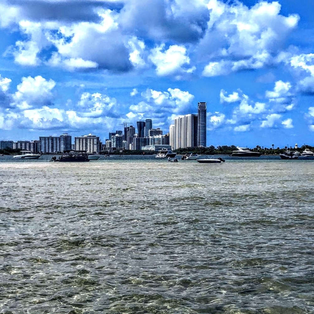 Baymingo boat rental fort Lauderdale