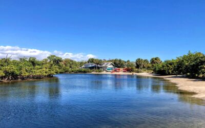 Whiskey Creek – A Family Boat Tour Paradise with Baymingo