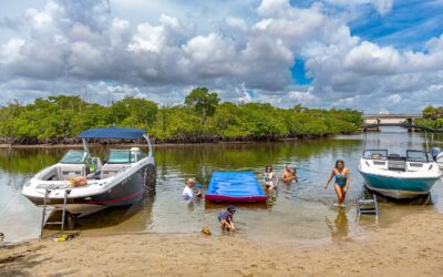 Explore the Intracoastal with Baymingo Boat Tours