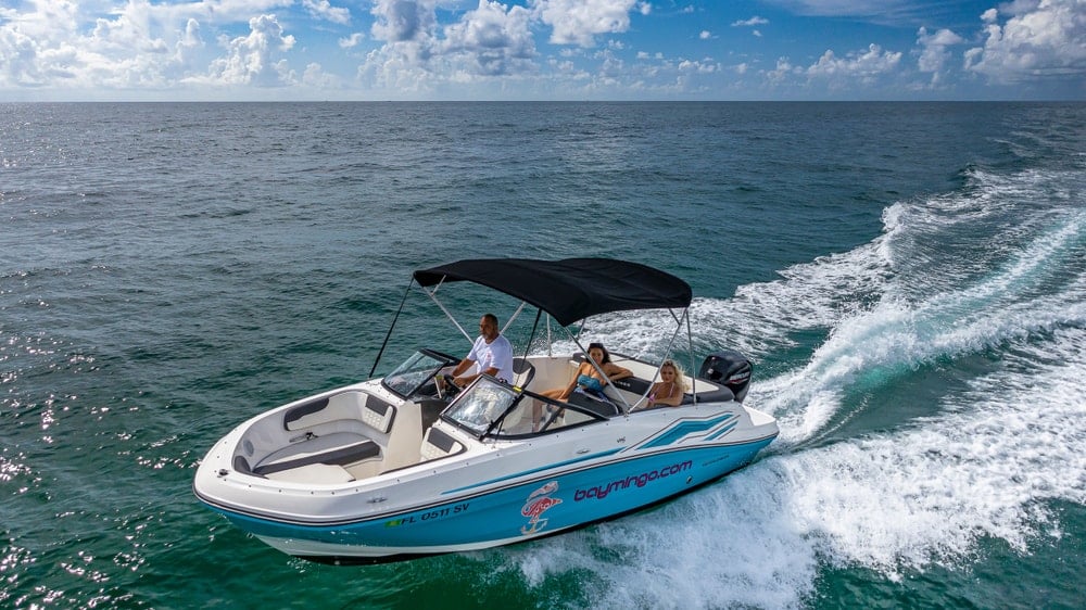 Private Raccoon Island Boat Tour